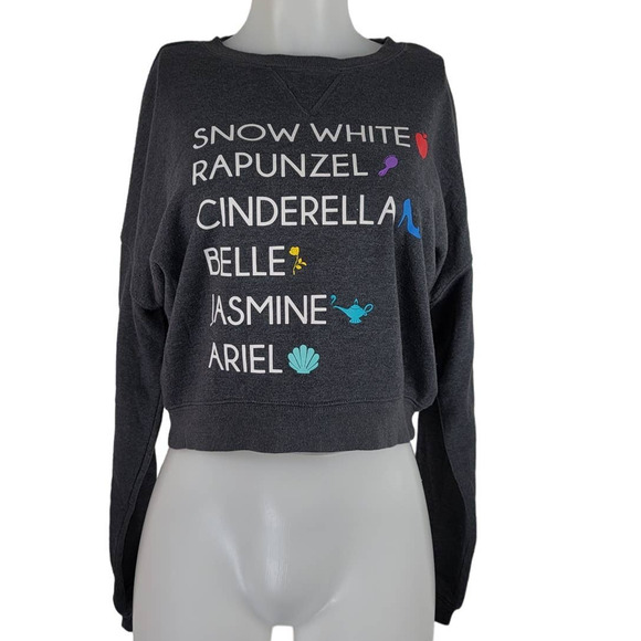 Disney Princess Winter Warm Athletic Gray Crop Sweatshirt S - Picture 1 of 5